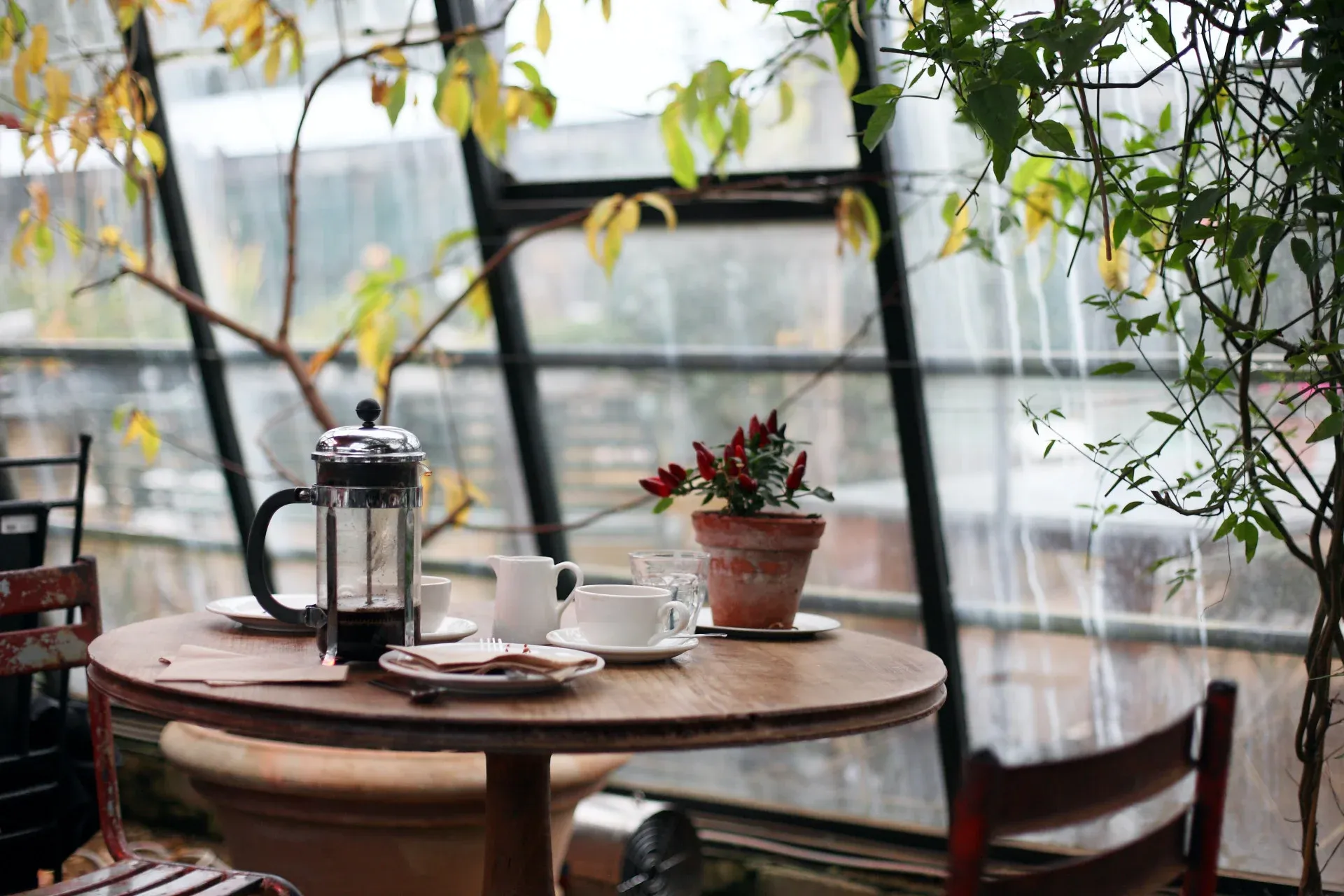 types of restaurants example cafe