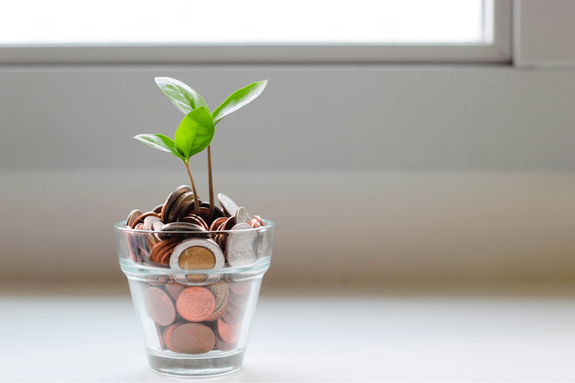 how to start a catering business - how-to-fund-a-catering-business?