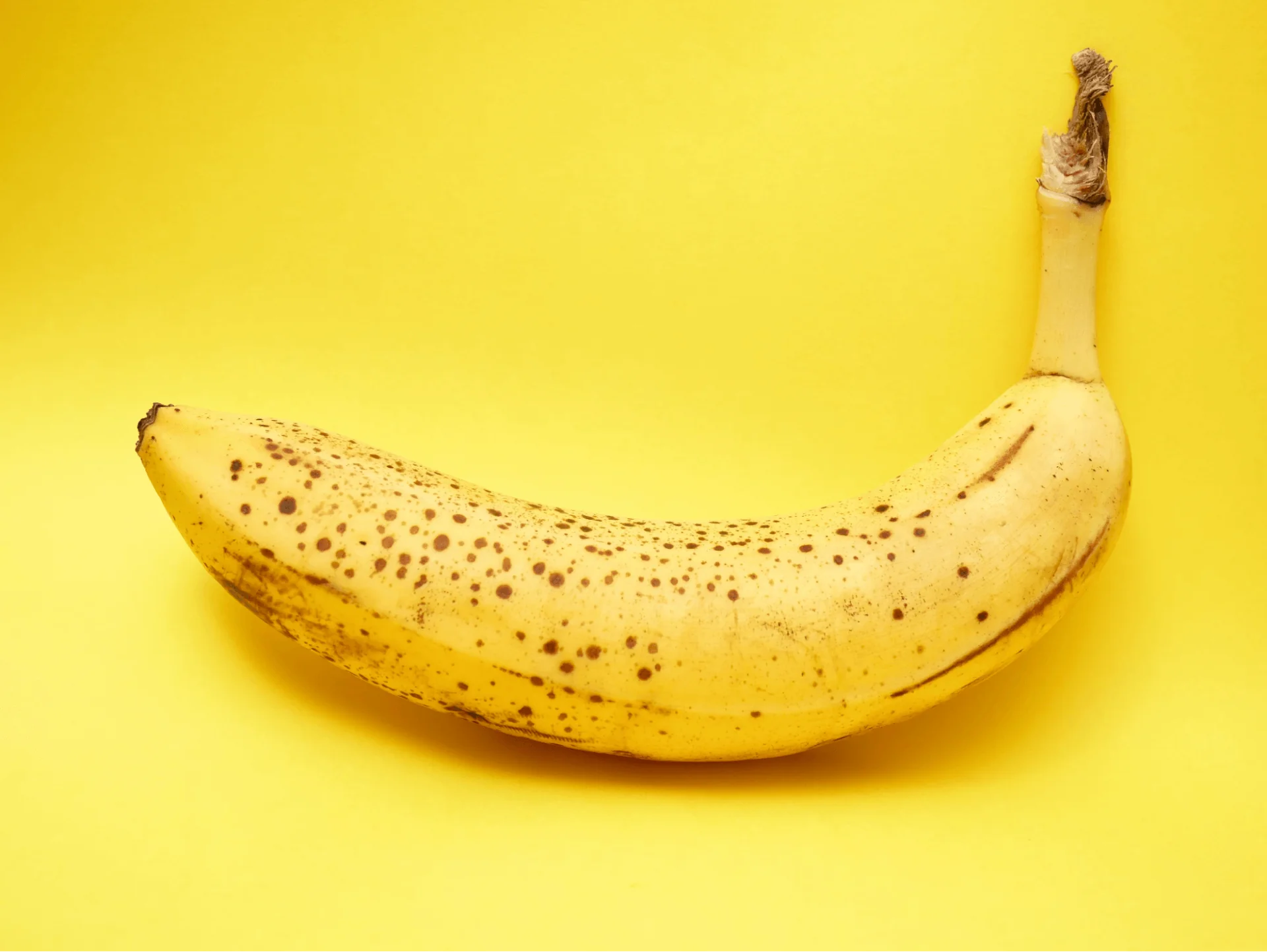 how to reduce food waste at a restaurant - an example photo