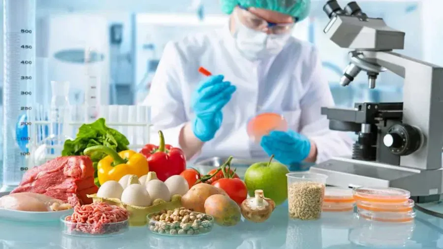 haccp - badanie żywności w laboratorium