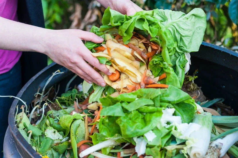 restaurant sustainability - reducing food waste