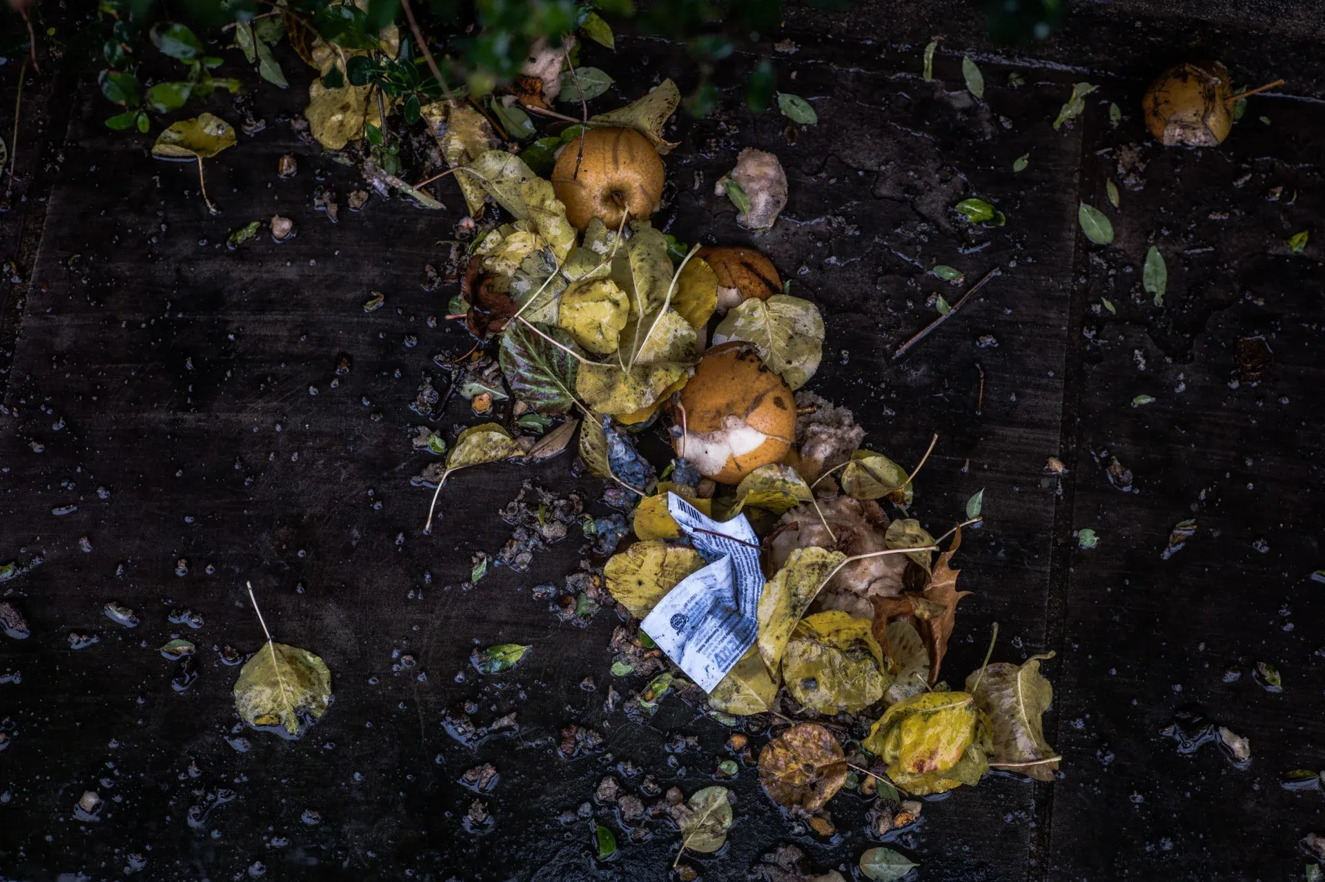 restaurant operation: reducing food waste: example photo