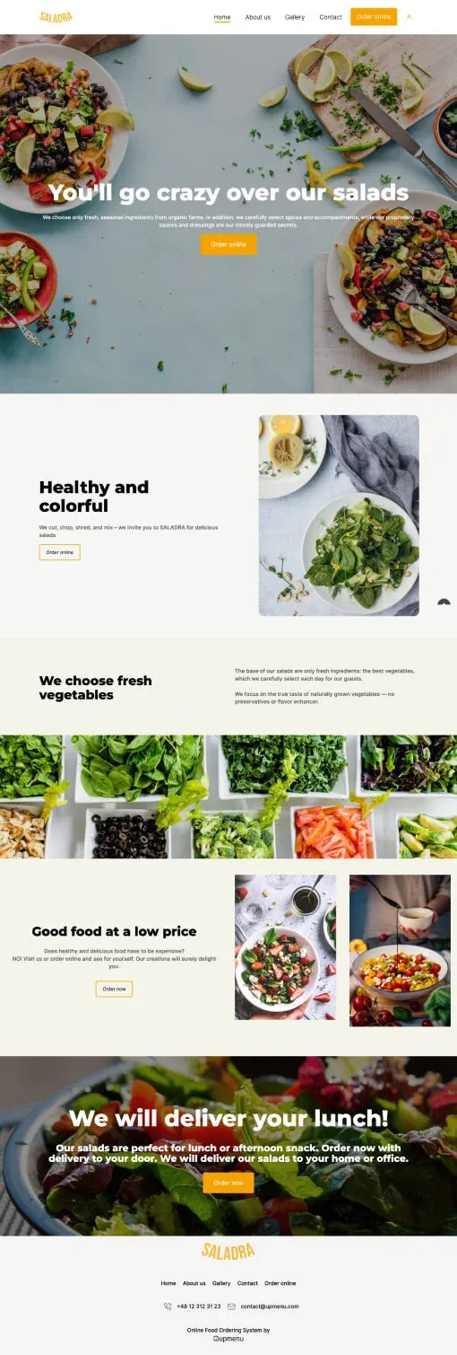 Saladra website template