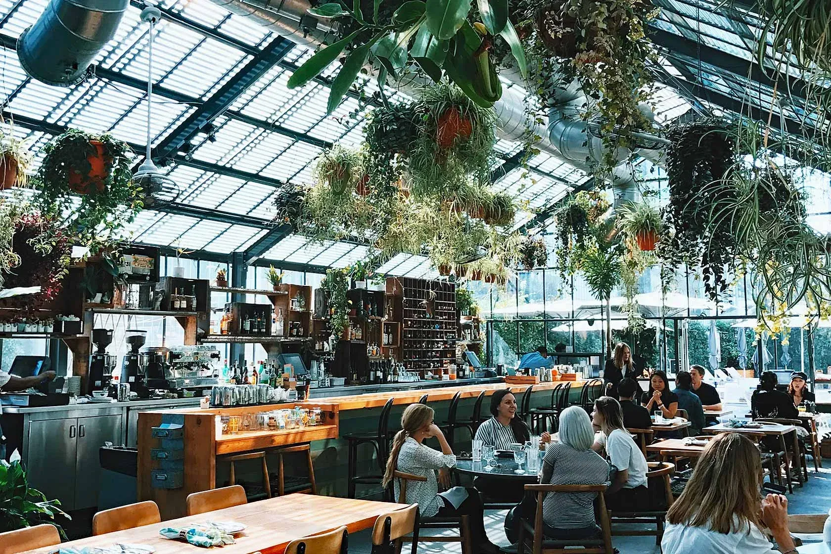 ustainability is another new trend in the dining industry