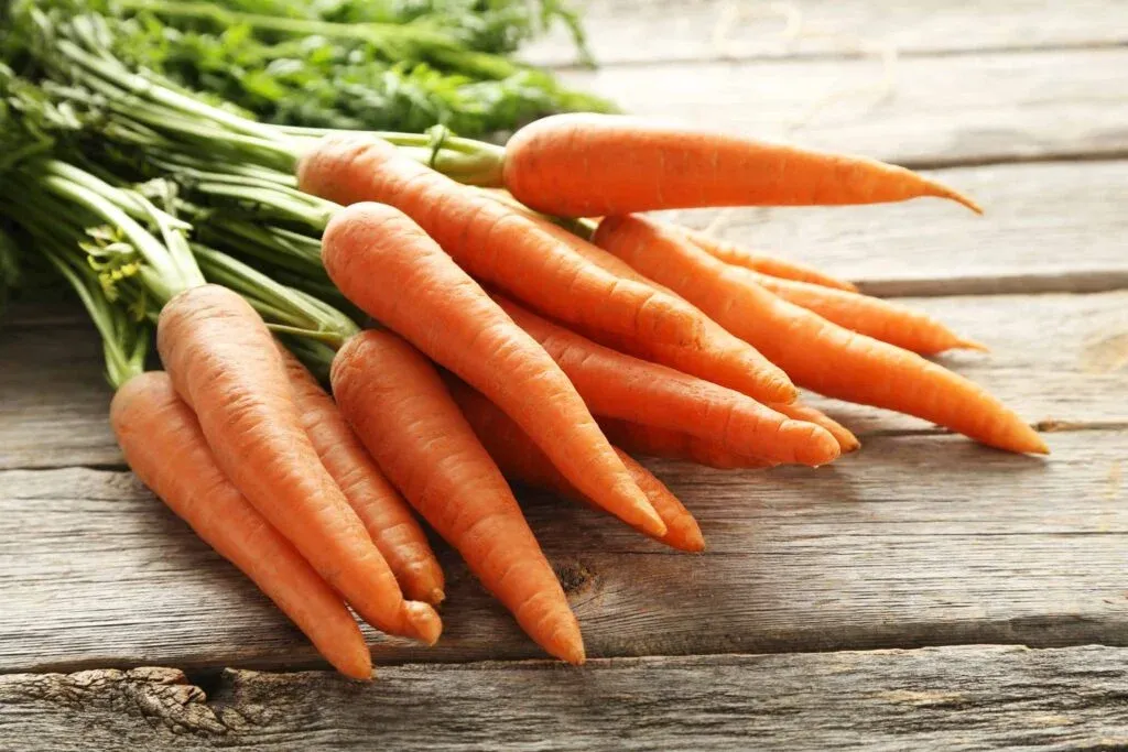 Root-to-stem cooking is a great way to reduce food waste in restaurants