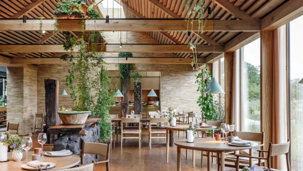 modern-restaurant-design-modern-nature-concept-1024x577.webp