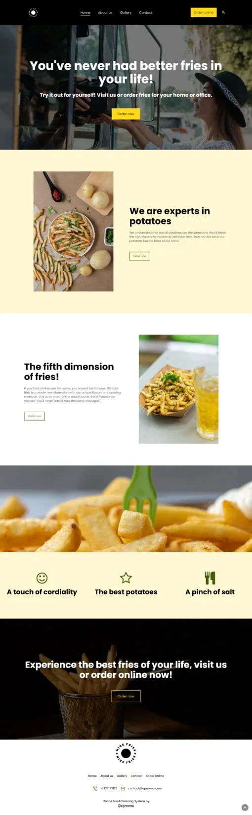 Nice Fries website template