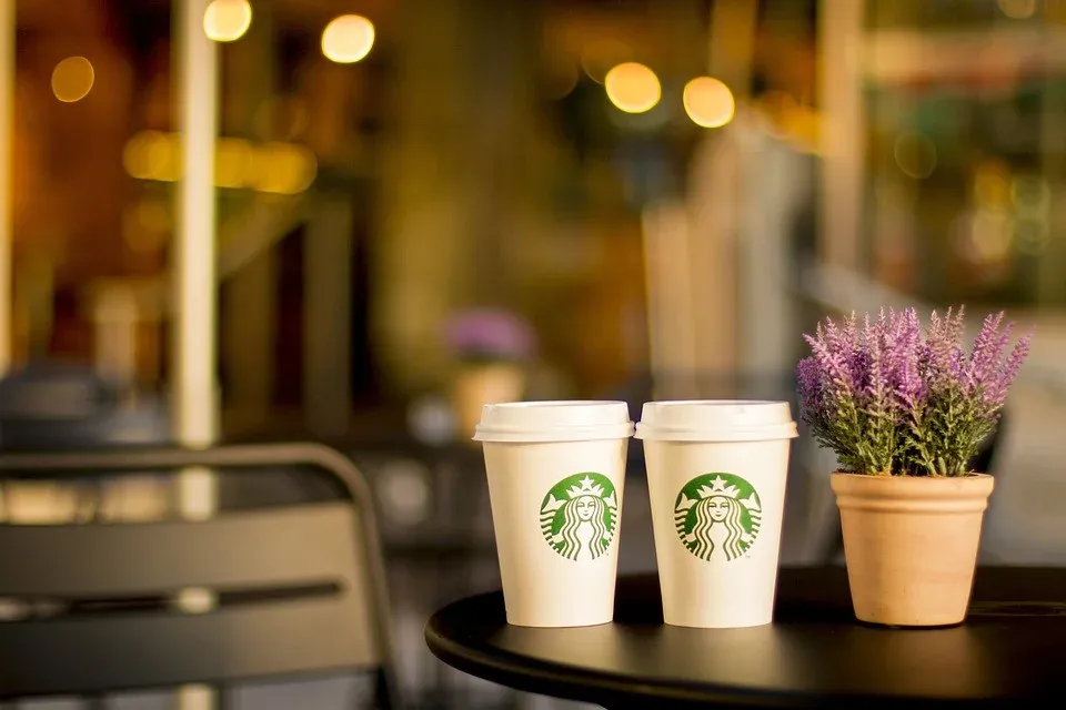 What Is a Chain Restaurant? (Definition & Examples)