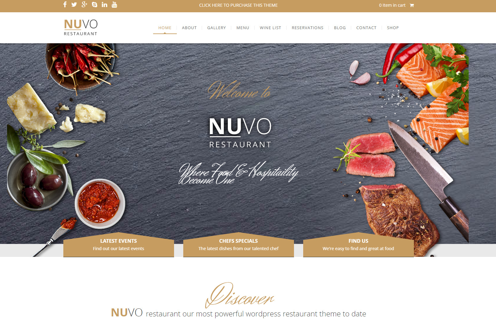 An example of the NUVO wordpress theme