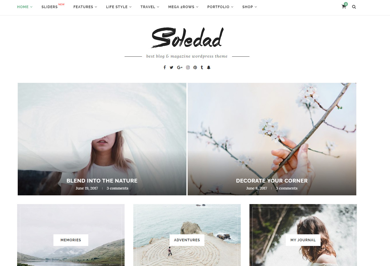 The Soledad wordpress theme is perfect for almost any business type